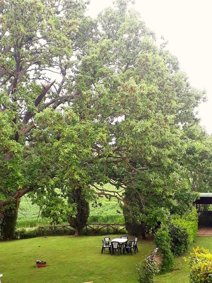 Agriturismo La Baroncella 몬테메라노 외부 사진